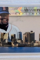 1996-pinnacle-skylines-6-mo-vaughn