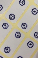 branded-stickers-coach-pats-sports-cards-v5