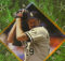 1994 Leaf Gold Stars Baseball Cards