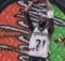 1997-98 E-X2001 Jambalaya Basketball Cards