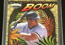 2023 Leaf Vibrance Sports Cards