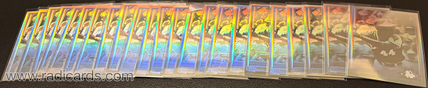 Hank Aaron 1991 Upper Deck Hologram #HH1